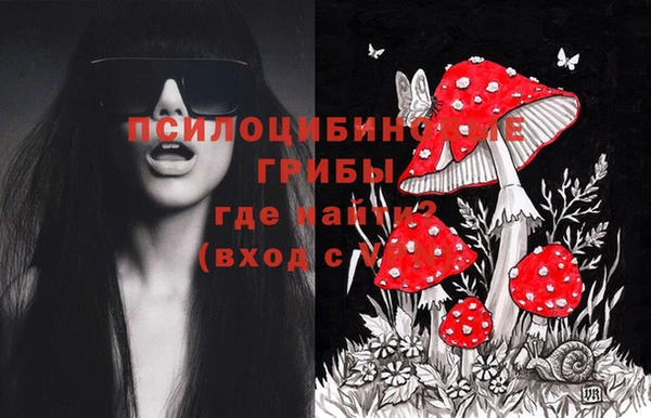 гашик Баксан
