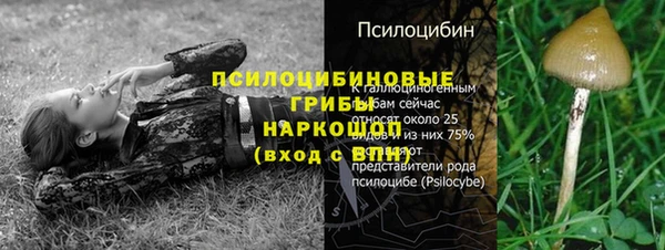 гашик Баксан