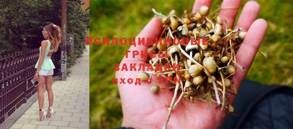 гашик Баксан