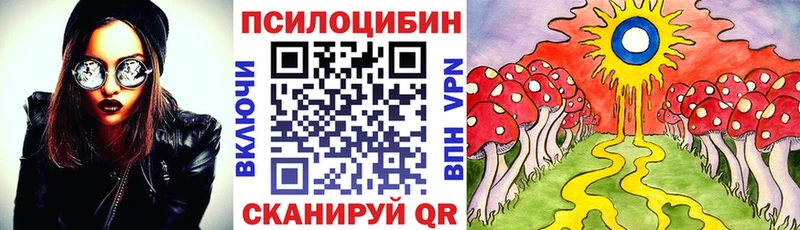 Псилоцибиновые грибы Psilocybine cubensis Краснокаменск