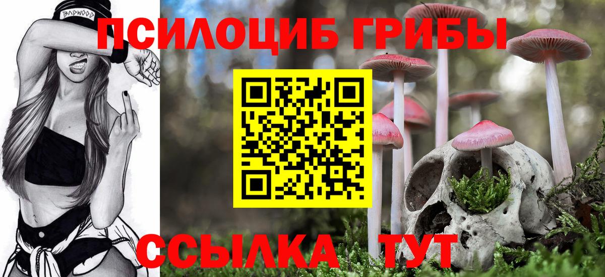 Галлюциногенные грибы Psilocybe Краснокаменск